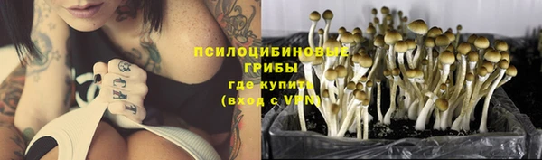 прущие крисы Карталы
