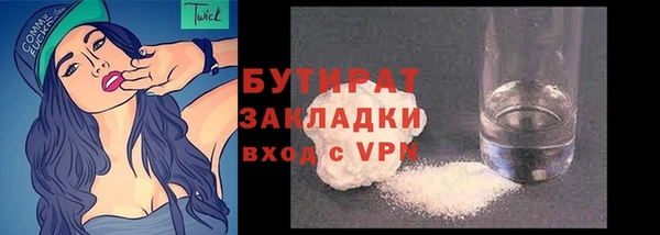 индика Каменка