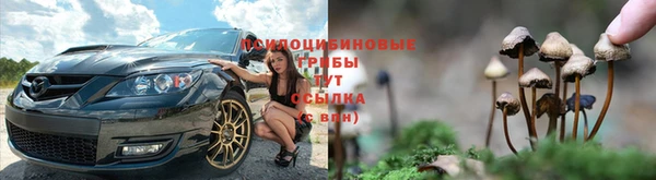 спиды Нягань