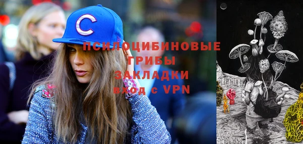 героин Няндома