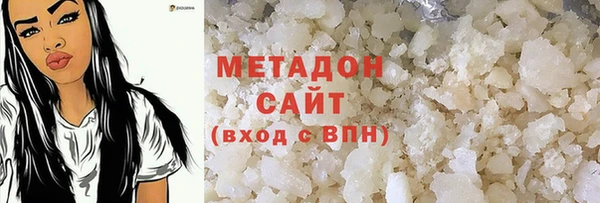 индика Каменка