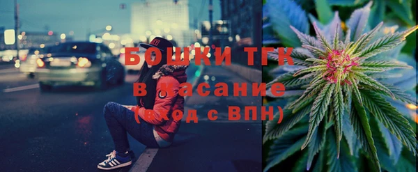 сатива Карпинск